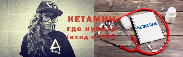 шишки Дмитриев