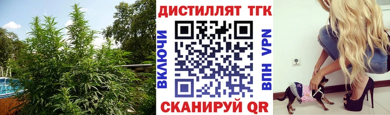 Дистиллят ТГК THC oil Кудымкар