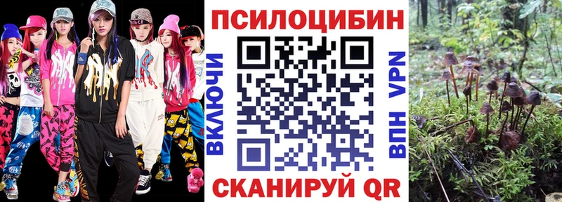 OMG ссылка  Кудымкар  Псилоцибиновые грибы Cubensis  как найти закладки 